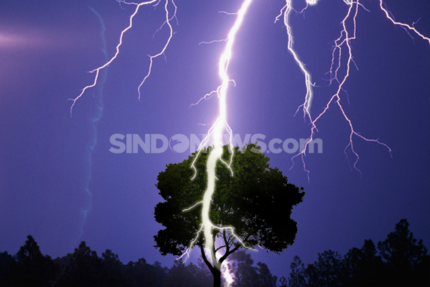 Waspada Hujan Petir di Sleman, Kulonprogo dan Gunungkidul