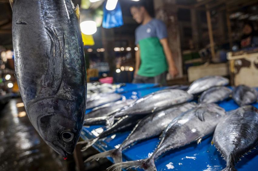 Dukung Pemanfaatan Ikan Sebagai Komoditas Bantuan Pangan