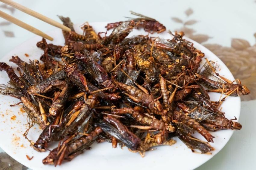 6 Makanan Khas Indonesia Terbuat dari Serangga, Berani Mencobanya?