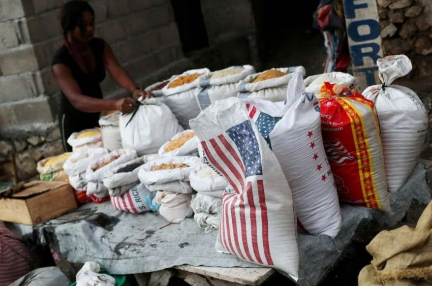 Beras AS yang Diekspor ke Haiti Mengandung Arsenik