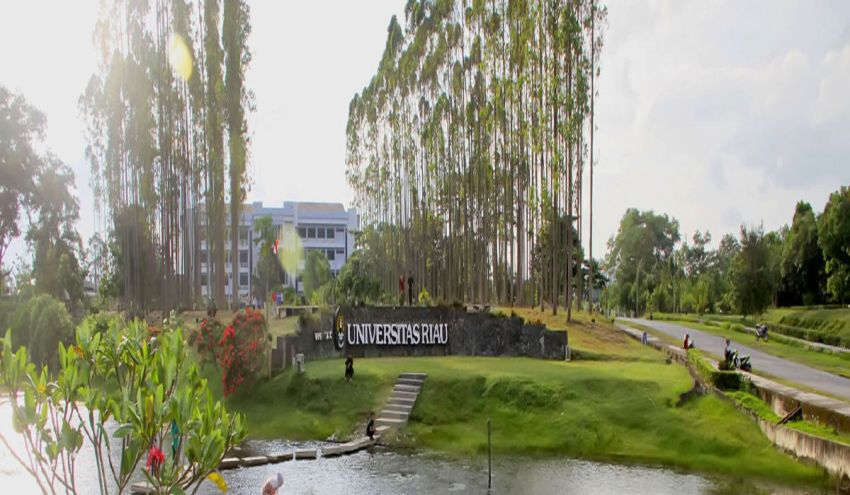 Daftar 11 Universitas Terbaik di Riau Versi UniRank 2024, Kampusmu Nomor Berapa?