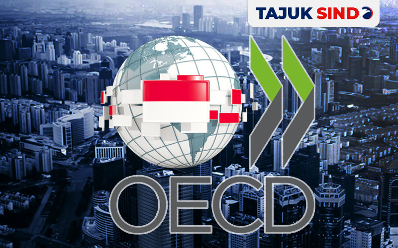 Apa yang Diharapkan Indonesia Bergabung dengan OECD?