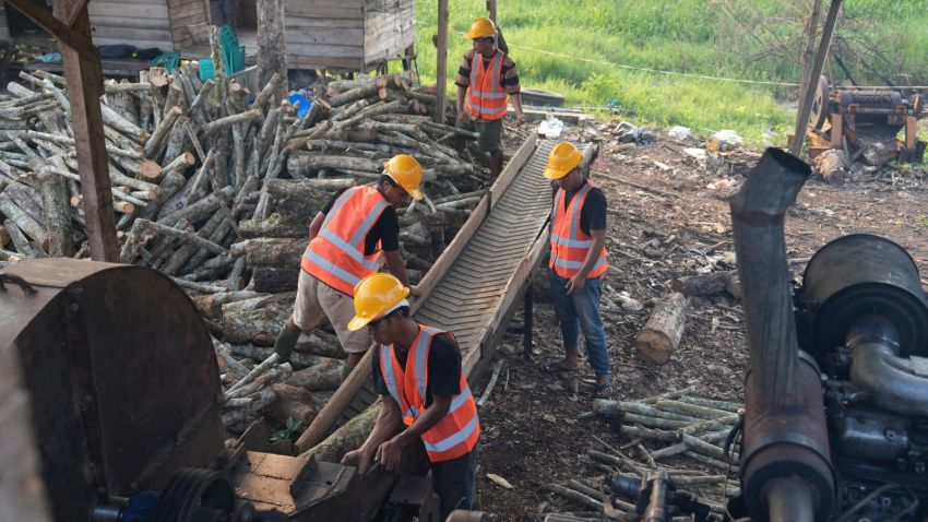 Peningkatan Produksi Biomassa PLN Dorong Lapangan Kerja di Daerah