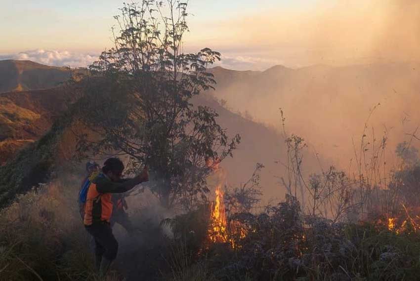 9 Titik Api di Gunung Bromo Berhasil Dipadamkan, Petugas Terus Bersiaga