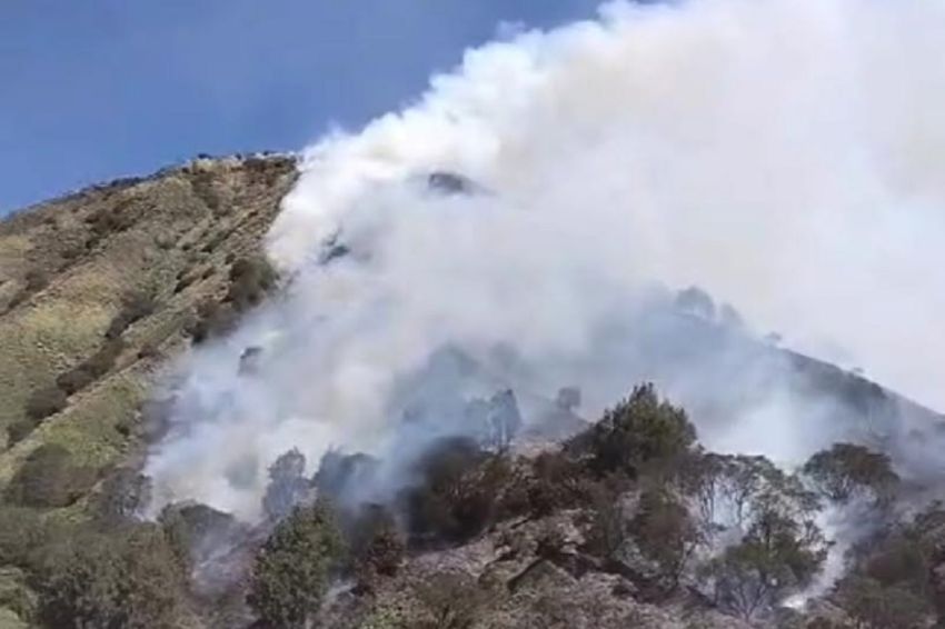 Gunung Batok Terbakar, Api Terlihat Jelas dari Savana Gunung Bromo