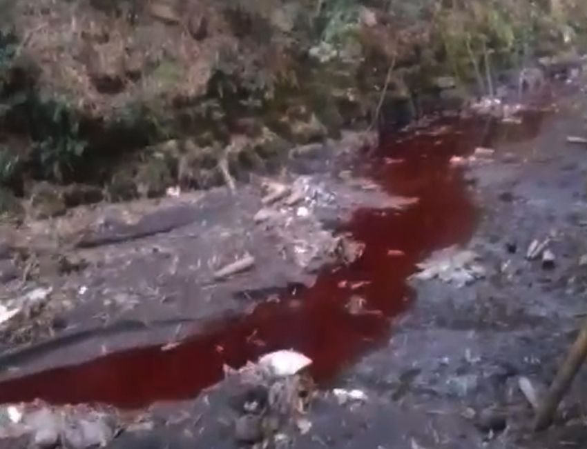 Heboh Air Sungai Berubah Berwarna Merah di Tumpang Malang, Begini Faktanya