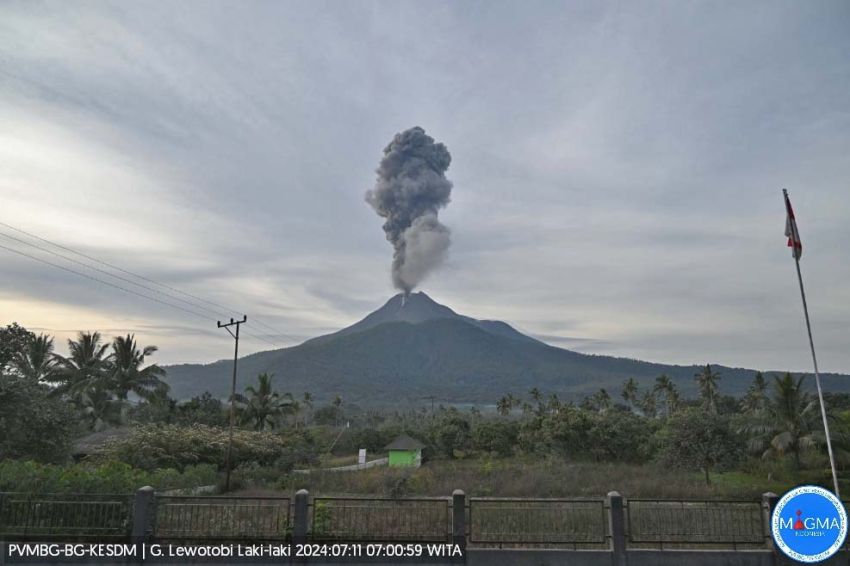 Pagi Ini, Gunung Lewotobi Erupsi Muntahkan Abu Vulkanik Setinggi 700 Meter