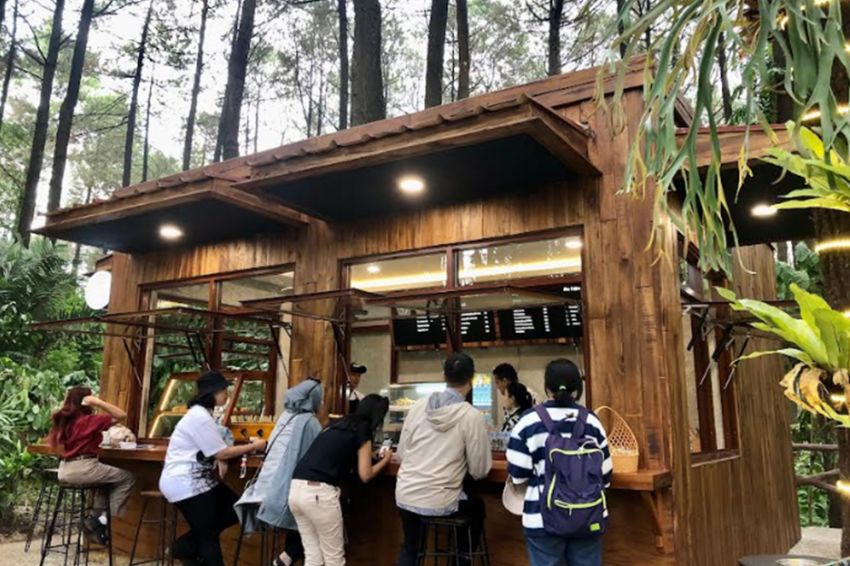 Sensasi Ngopi di Kafe Tengah Hutan Kaki Gunung Arjuna Pasuruan
