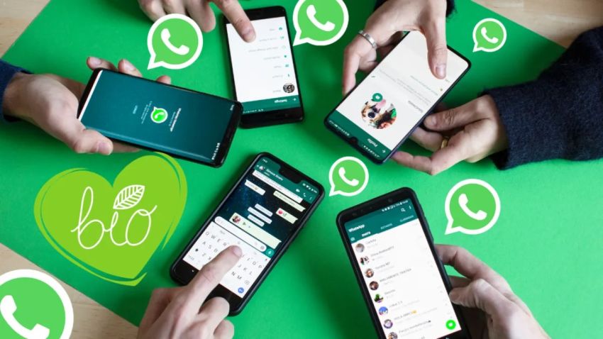 WhatsApp Luncurkan Fitur Favorit, Begini Cara Pakainya