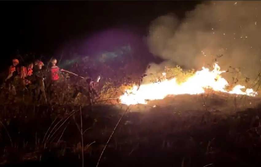 Hektaran Lahan di Sleman Yogyakarta Terbakar Hebat, 5 Mobil Damkar Dikerahkan