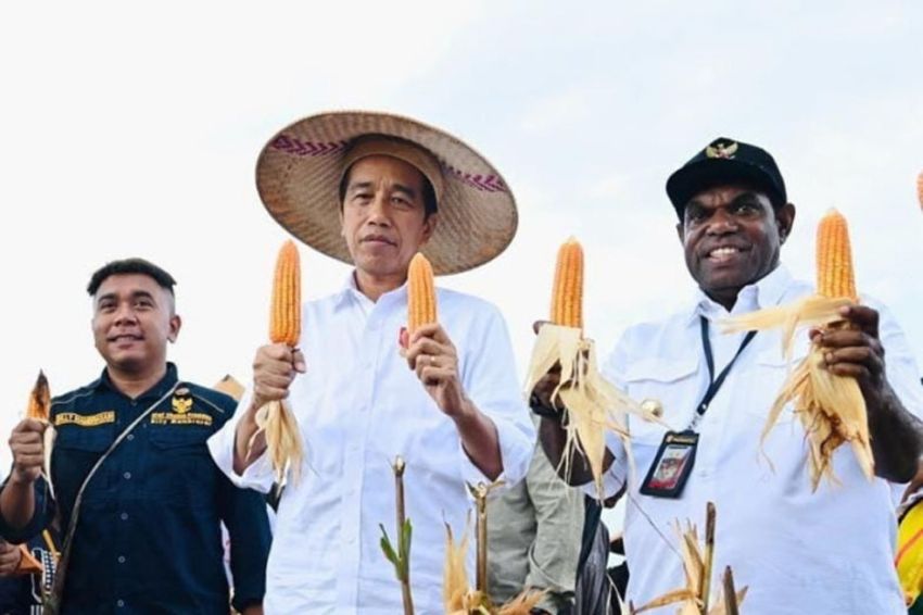 Presiden Jokowi Bakal Hadiri Hari Anak Nasional di Papua