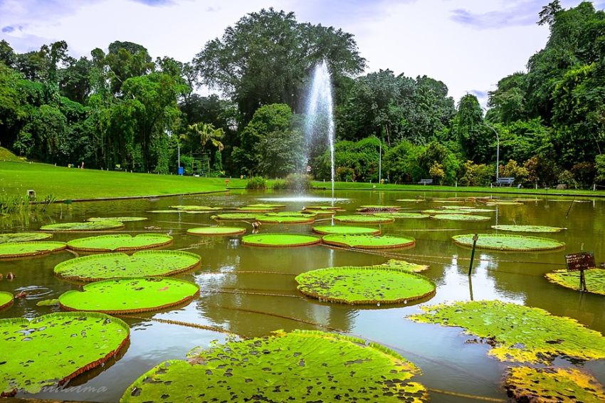 7 Tempat Wisata di Bogor untuk Liburan Singkat Bareng Keluarga