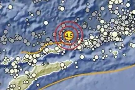 Gempa Magnitudo 4,5 Guncang Wilayah Maluku Barat Daya
