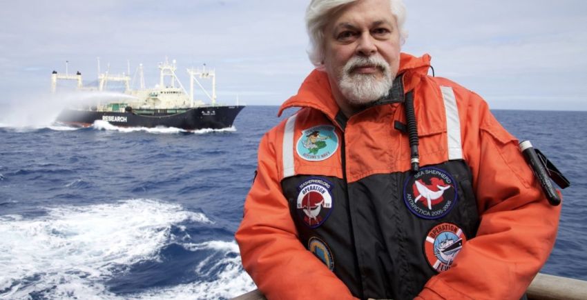 Lama Diburu Jepang, Salah Satu Pendiri Greenpeace Ditangkap di Greenland
