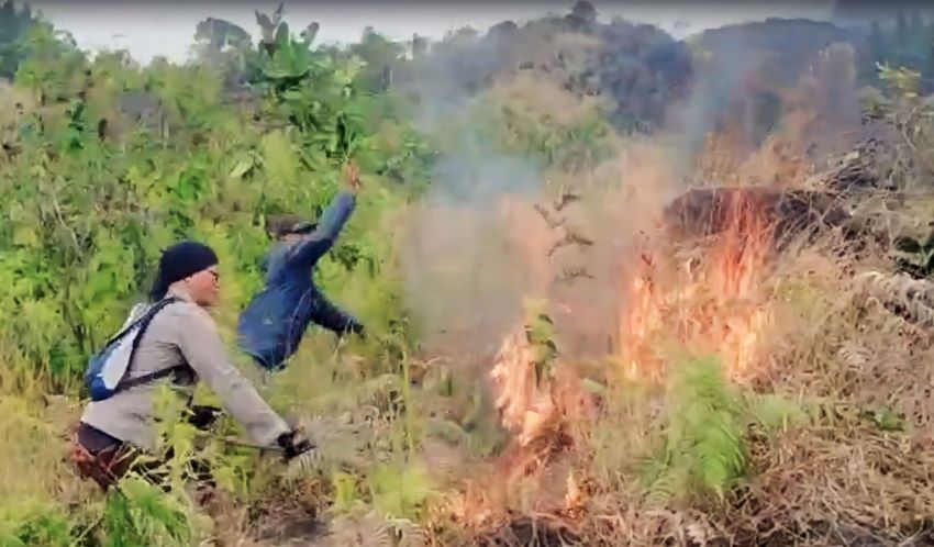 Kebakaran Hebat Landa Gunung Arjuno, 21 Hektar Hutan Hangus
