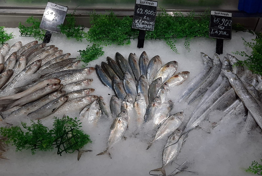 Nilai Ekspor Ikan Indonesia di Paruh Pertama 2024 Capai Rp44,24 Triliun