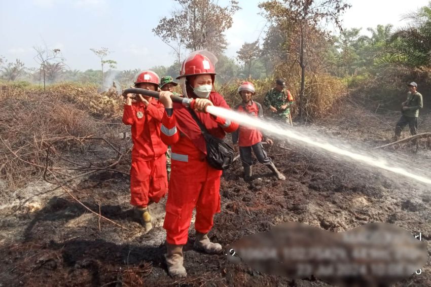 Manggala Agni Sumatera XIII: 40 Hektare Lahan di Sarolangun Jambi Terbakar