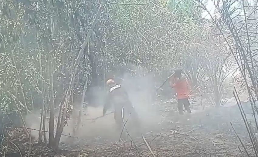 Puluhan Hektare Perkebunan Kelapa Sawit Terbakar, Asap Tebal Selimuti Desa Alang Bon-Bon