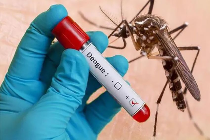 Cegah Dengue pada Anak dan Dewasa, Pentingnya Perlindungan Optimal