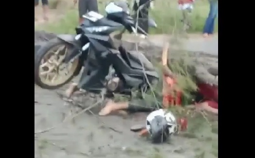 ASN Pengendara Motor Tewas Tertimpa Pohon di Jalan Pantai Panjang Bengkulu