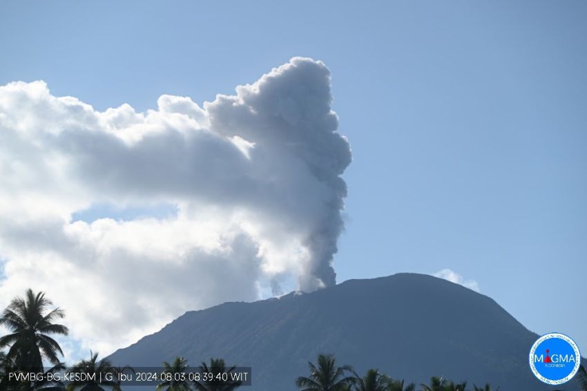 8 Kali Erupsi, Gunung Ibu Luncurkan Abu Vulkanik 1.200 Meter