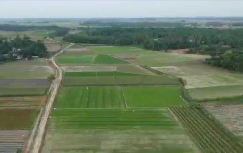 2.706 Ha Sawah di Kabupaten Batubara Kekeringan, Ancam Ketahanan Pangan Sumut