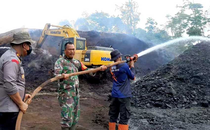 Dampak Kemarau Ribuan Ton Batu Bara di Muarojambi Terbakar, 3 Minggu Belum Padam