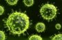 Waspada! Virus Nipah Jadi Pandemi Baru di Asia, Kenali Penyakitnya