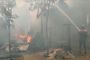Tangis Histeris Pecah di Barito Utara saat Kobaran Api Melalap 3 Rumah Warga