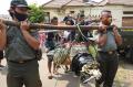BKSDA Banten dan Warga Tangkap Buaya Muara Sepanjang 3 Meter