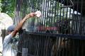 Semarang Zoo Kembali Dibuka Setelah Tutup Tiga Bulan