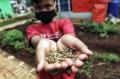Dinas LHK Jaktim Kenalkan Anak dengan Urban Farming Sejak Dini