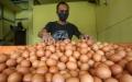 Harga Telur Diprediksi Bakal Turun hingga Akhir Februari