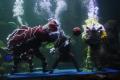 Meriahkan Imlek, Sea World Ancol Hadirkan Atraksi Barongsai di Akuarium Raksasa