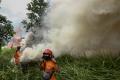 10 Hektar Lahan di Pekanbaru Terbakar