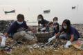 Aksi Bersih-Bersih Sampah di Pantai