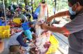 Pemotongan Hewan Kurban di Kepulauan Seribu