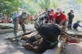 Pemotongan Hewan Kurban di Kepulauan Seribu