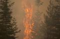 New York Diselimuti Kabut Asap Akibat Kebakaran Hutan