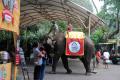 Taman Safari Indonesia Bogor Dibuka Kembali Secara Terbatas