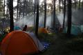 Lepas Jaringan Internet, Camping Bisa Jadi Alternatif Liburan Selama Belajar Daring