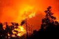 Angin Kencang Sebabkan Kebakaran Hutan Nasional Sequoia di California Meluas