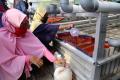 Mahasiswa Surabaya Ajak Warga Manfaatkan Lahan Kosong Jadi Lahan Pertanian Kota