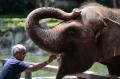 Kunjungan Wisatawan ke Bali Zoo Terus Meningkat
