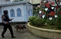 Jelang Misa Natal, Polisi Gelar Sterilisasi di Gereja Katedral Makassar