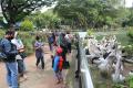 Libur Natal, 17 Ribu Pengunjung Padati Taman Margasatwa Ragunan