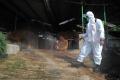 Penyemprotan Disinfektan di RPH Kota Bogor