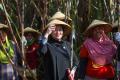 Momen Ketua DPR Puan Maharani Panen Tebu Bersama Petani