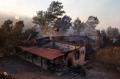 Api Kebakaran Hutan Lahap Rumah dan Mobil Warga di Athena