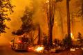 Melihat Neraka di Hutan Oak Fire California yang Tak Kunjung Padam